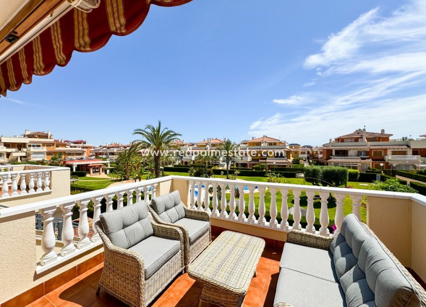 Alquiler a corto plazo - Apartmentos -
Orihuela Costa - Zeniamar