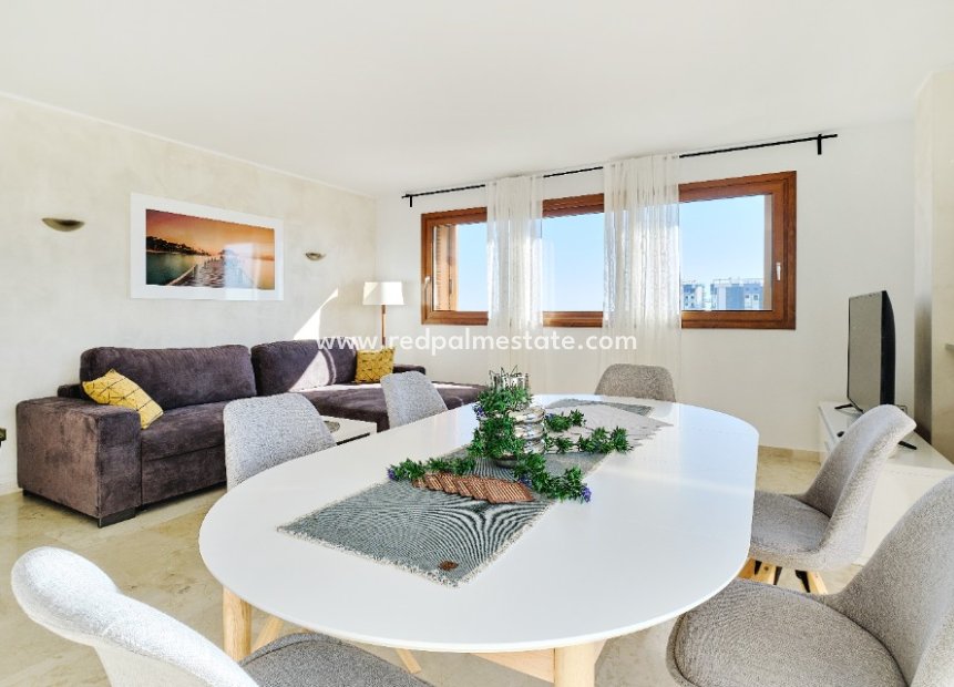 Alquiler a corto plazo - Apartmentos -
Torrevieja - La Entrada