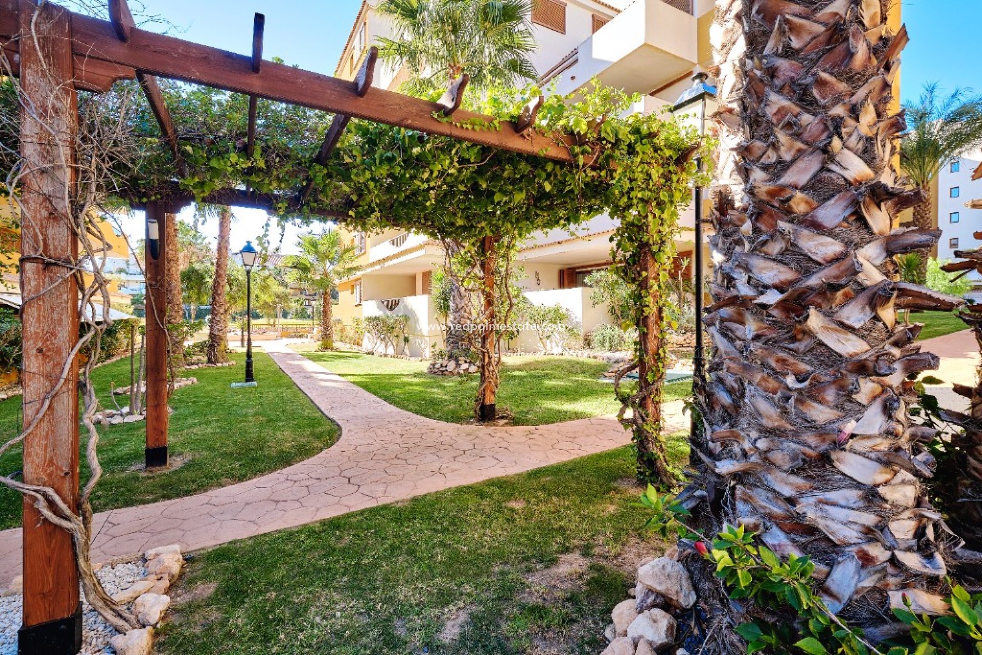 Alquiler a corto plazo - Apartmentos -
Torrevieja - La Entrada