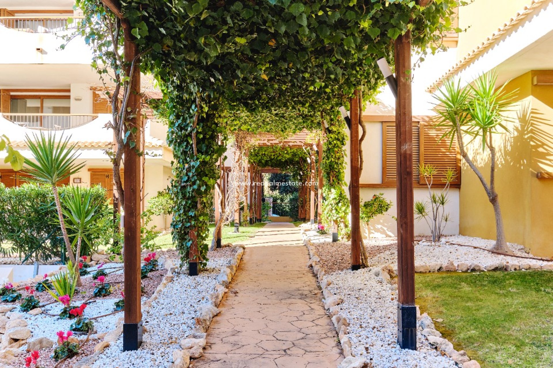 Alquiler a corto plazo - Apartmentos -
Torrevieja - La Entrada