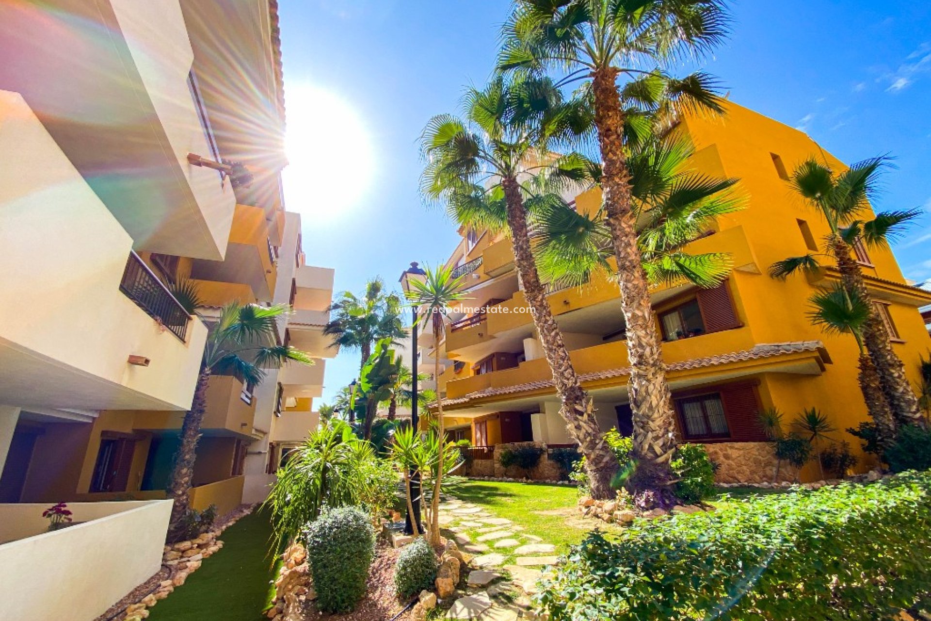 Alquiler a corto plazo - Apartmentos -
Torrevieja - La Recoleta