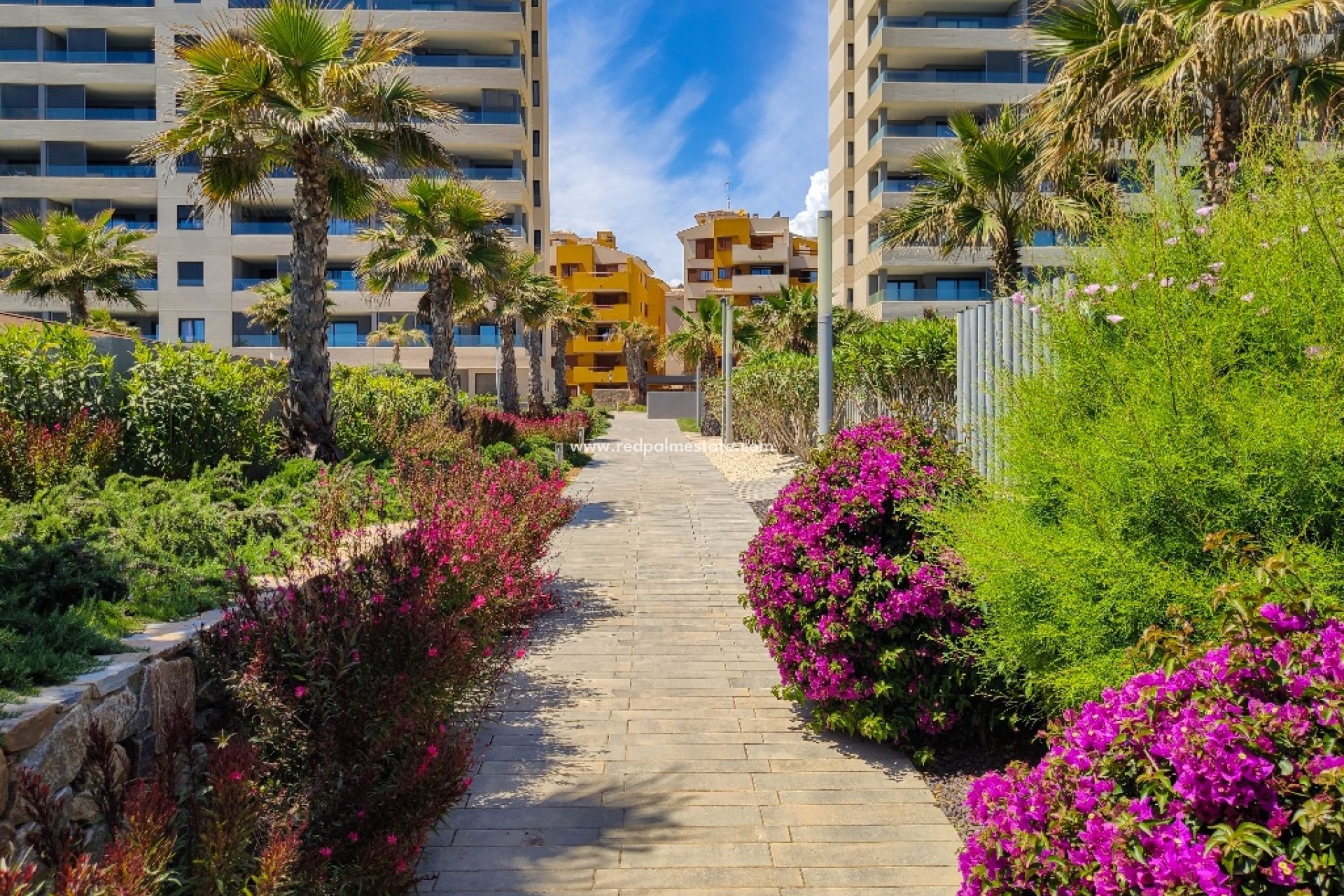 Alquiler a corto plazo - Apartmentos -
Torrevieja - Panorama Mar