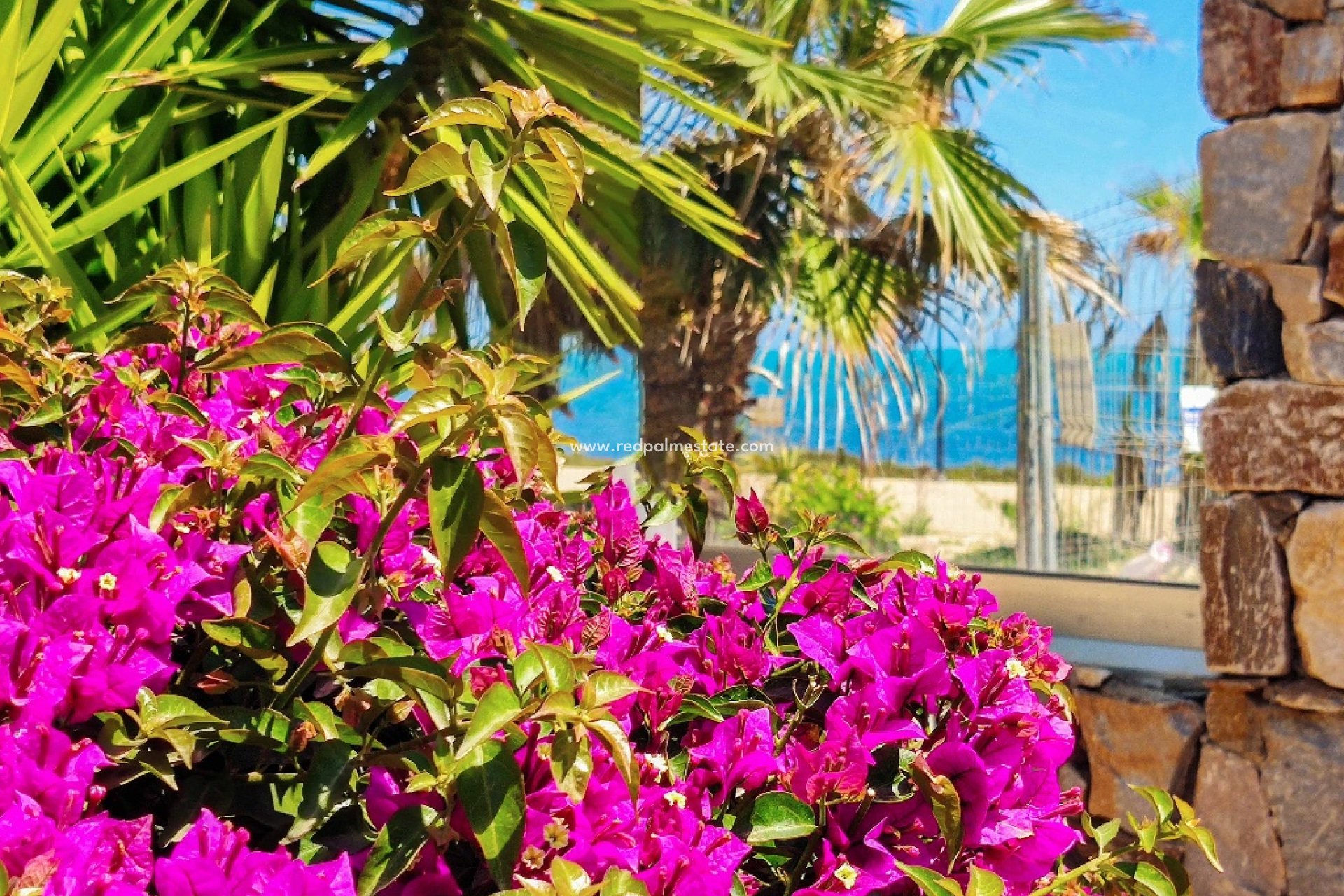 Alquiler a corto plazo - Apartmentos -
Torrevieja - Panorama Mar