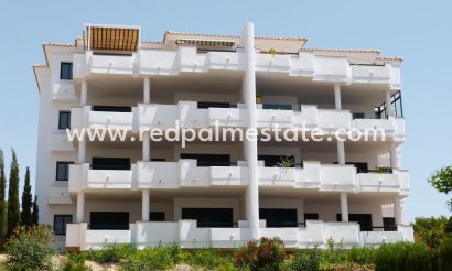 Apartamento Ático - Obra nueva - Orihuela Costa - Lomas de Campoamor