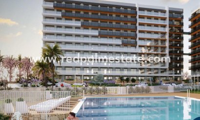 Apartamento Ático - Obra nueva - Torrevieja - Punta Prima