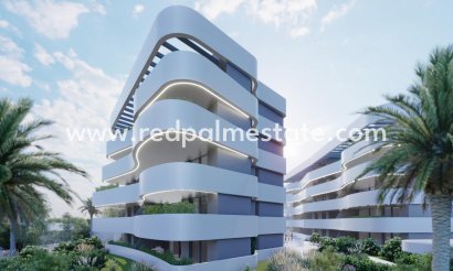 Apartamento - Obra nueva - Guardamar del Segura - El Raso