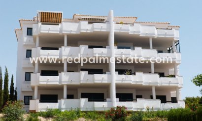 Apartamento - Obra nueva - Orihuela Costa - Lomas de Campoamor