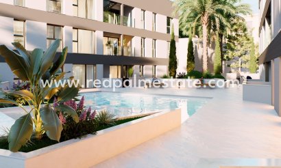 Apartamento - Obra nueva -
            San Pedro del Pinatar - TLRS-47389