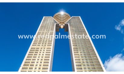 Apartamento - Reventa - Benidorm - Benidorm