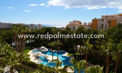 Apartamento - Reventa - Orihuela Costa - Altos de Campoamor
