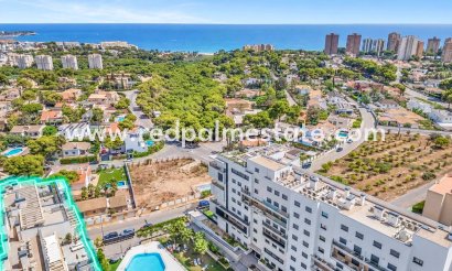 Apartamento - Reventa - Orihuela Costa - Campoamor