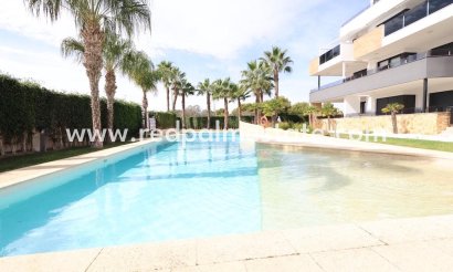 Apartamento - Reventa - Orihuela Costa - Las Mimosas