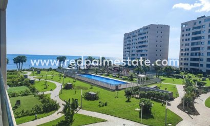 Apartamento - Reventa - Orihuela Costa - Punta prima