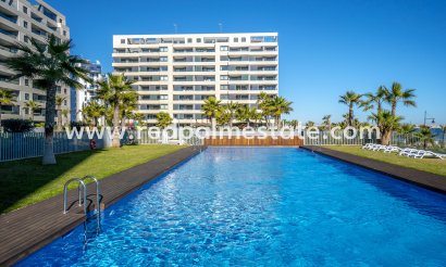 Apartamento - Reventa -
            Torrevieja - BE-13986