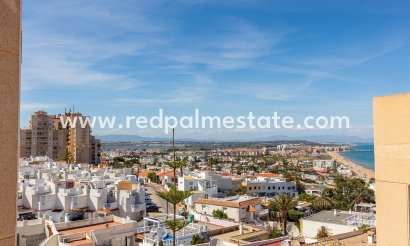 Apartamento - Reventa - Torrevieja - Cabo cervera