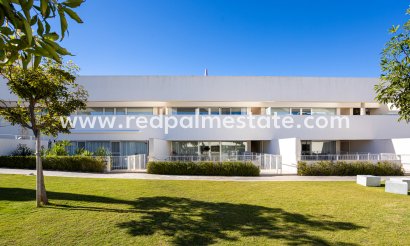 Apartamento - Reventa - Torrevieja - Los balcones