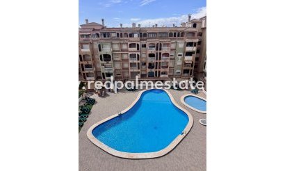 Apartamento - Reventa - Torrevieja - PARQUE DE LAS NACIONES
