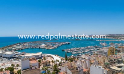 Apartamento - Reventa - Torrevieja - Puerto Deportivo