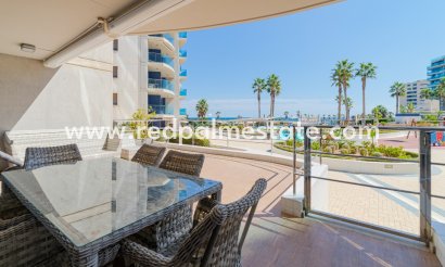 Apartamento - Reventa - Torrevieja - Punta prima