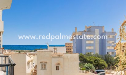 Apartamento - Reventa - Torrevieja - Torreblanca