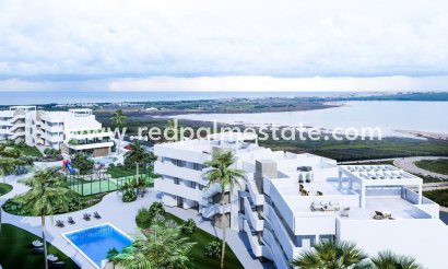 Apartment - New Build -
            Guardamar del Segura - RSG-94275