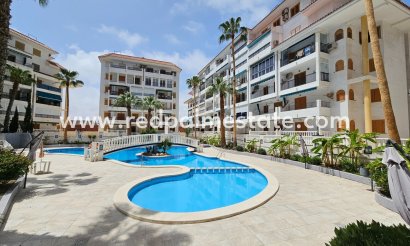 Apartment Penthouse - Resale - Torrevieja - Costa Blanca