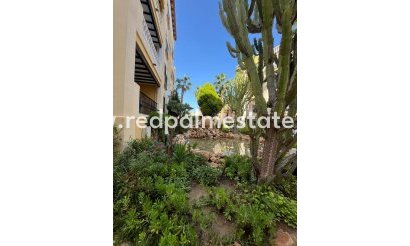 Apartment Penthouse - Resale - Torrevieja - Rosaleda-los frutales