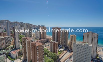 Apartment - Resale - Benidorm - Benidorm