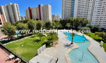 Apartment - Resale - Benidorm - Benidorm