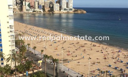 Apartment - Resale - Benidorm - Costa Blanca