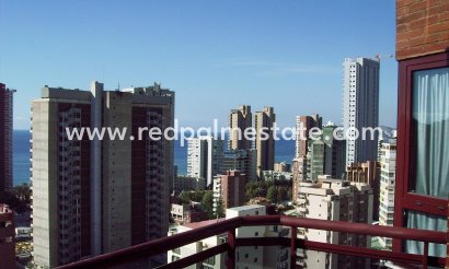 Apartment - Resale - Benidorm - Costa Blanca