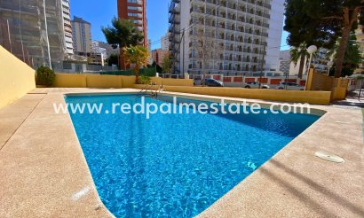 Apartment - Resale - Benidorm - Costa Blanca