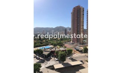 Apartment - Resale - Benidorm - Costa Blanca