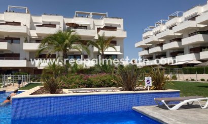 Apartment - Resale - Cabo Roig - Cabo Roig