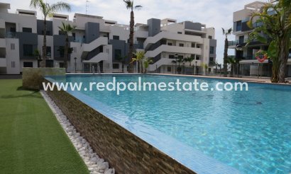 Apartment - Resale - Guardamar del Segura - El Raso