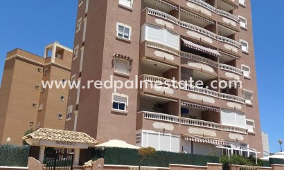 Apartment - Resale - Guardamar del Segura -
                Puerto