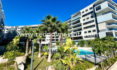 Apartment - Resale - Orihuela Costa - Campoamor