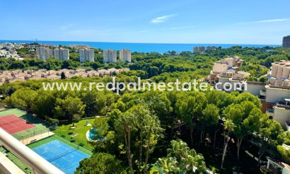 Apartment - Resale - Orihuela Costa - Campoamor