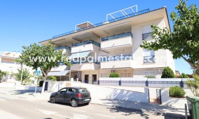 Apartment - Resale - Pilar de la Horadada - Mil Palmeras