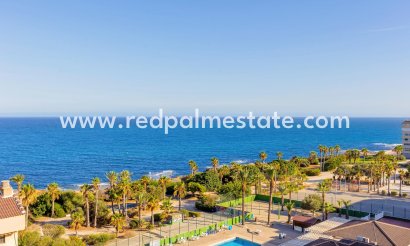 Apartment - Resale - Torrevieja - Cabo cervera