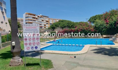 Apartment - Resale - Torrevieja - Costa Blanca