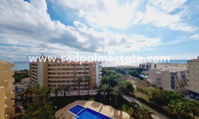 Apartment - Resale - Torrevieja - Costa Blanca