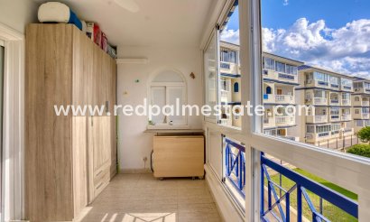 Apartment - Resale - Torrevieja - Parque Acuático - Sector 25