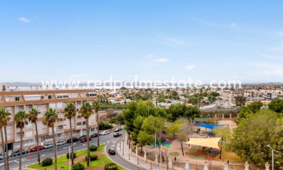 Apartment - Resale - Torrevieja -
                Parque las naciones