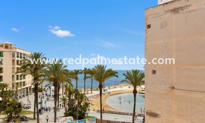 Apartment - Resale - Torrevieja - Paseo maritimo