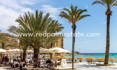 Apartment - Resale - Torrevieja - Playa del Cura