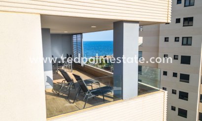 Apartment - Resale - Torrevieja - Punta prima