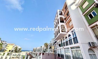 Apartment - Resale - Torrevieja - Torrevieja