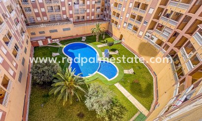 Apartment - Resale - Torrevieja - Torrevieja