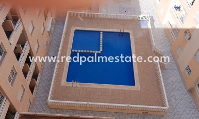 Apartment - Resale - Torrevieja - Torrevieja